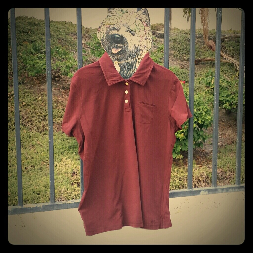 Burgundy Collared Polo Shirt